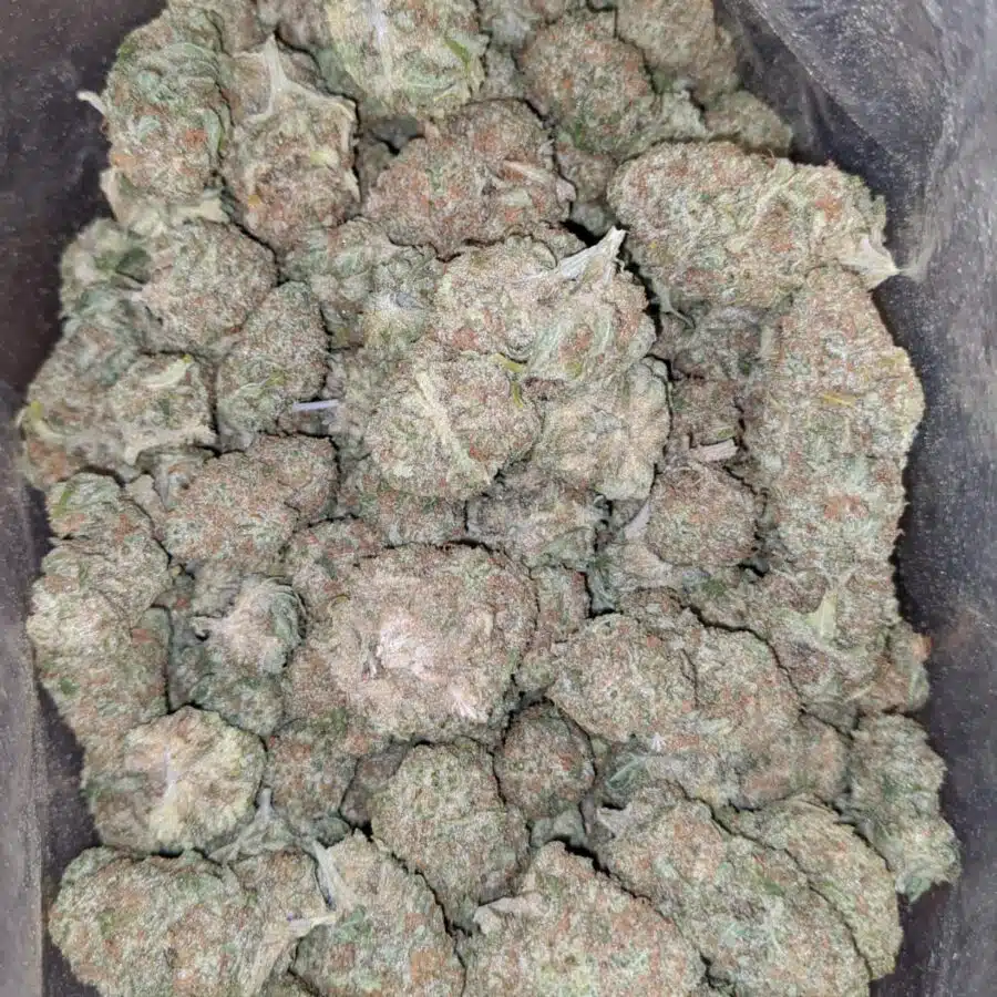 Cookies Kush 4 I Cookies Kush