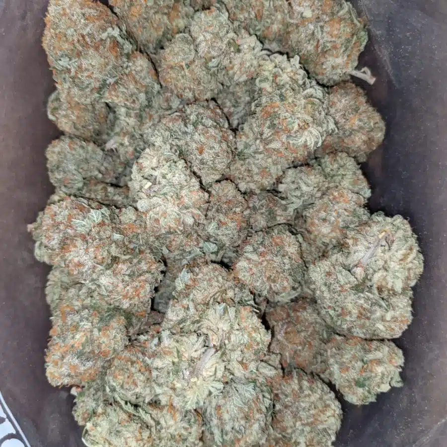 Grease monkey 2 I Grease Monkey