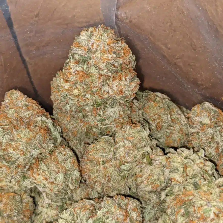 Grease monkey 4 I Grease Monkey