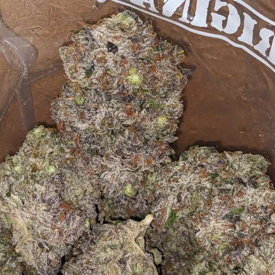 Hindu Kush 1 2 I Hindu Kush #2