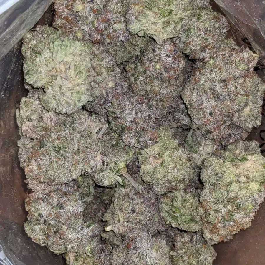 Hindu Kush 2 2 I Hindu Kush #2