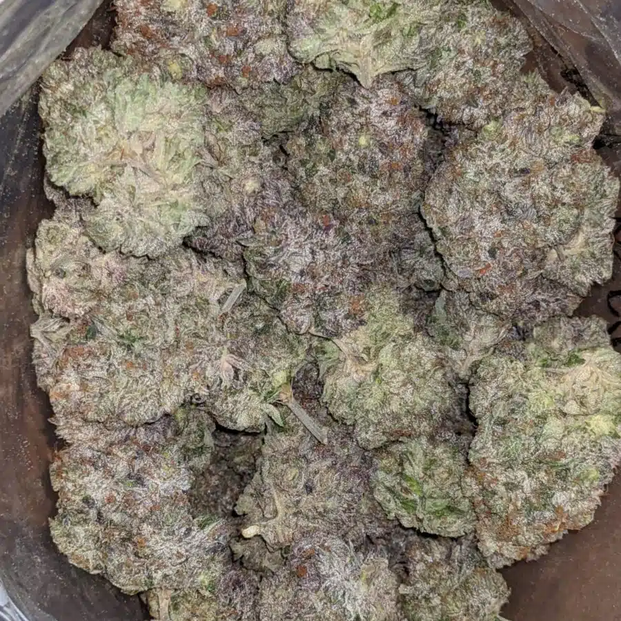 Hindu Kush 3 2 I Hindu Kush #2