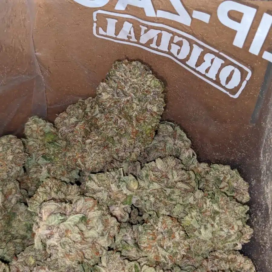 Icewreck 1 I Icewreck