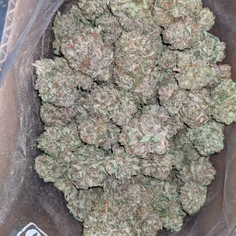 Icewreck 2 I Icewreck