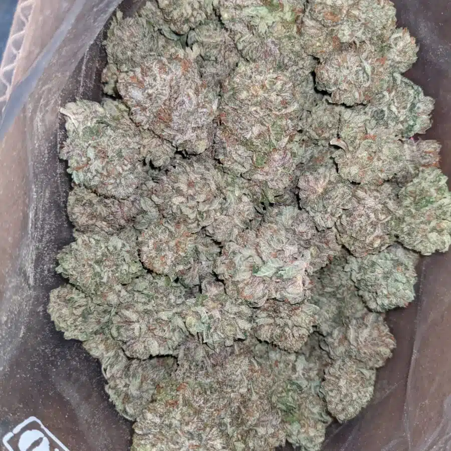Icewreck 4 I Icewreck