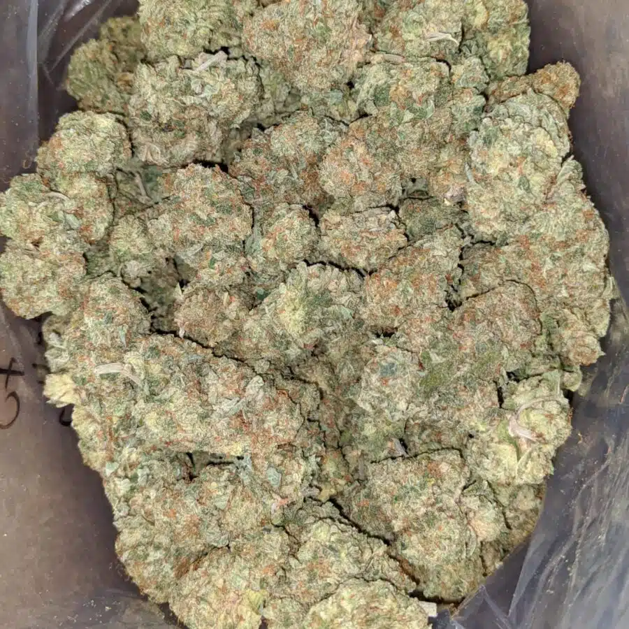 JELLY BREATH 2 I Tangie