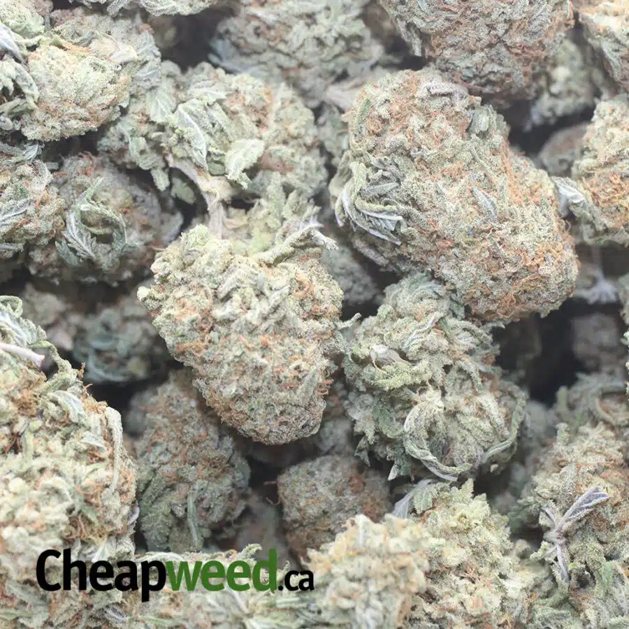 JETFUEL 1 I $ 45 Oz - Jetfuel