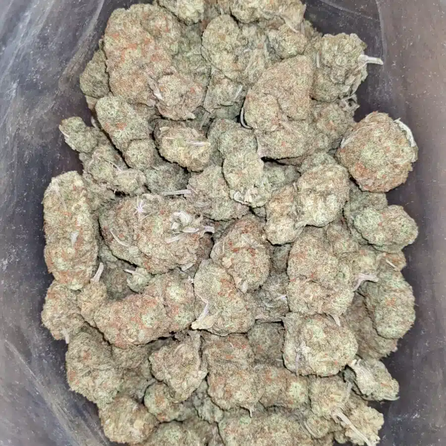 Mango sherbet 1 I Mango Sherbert