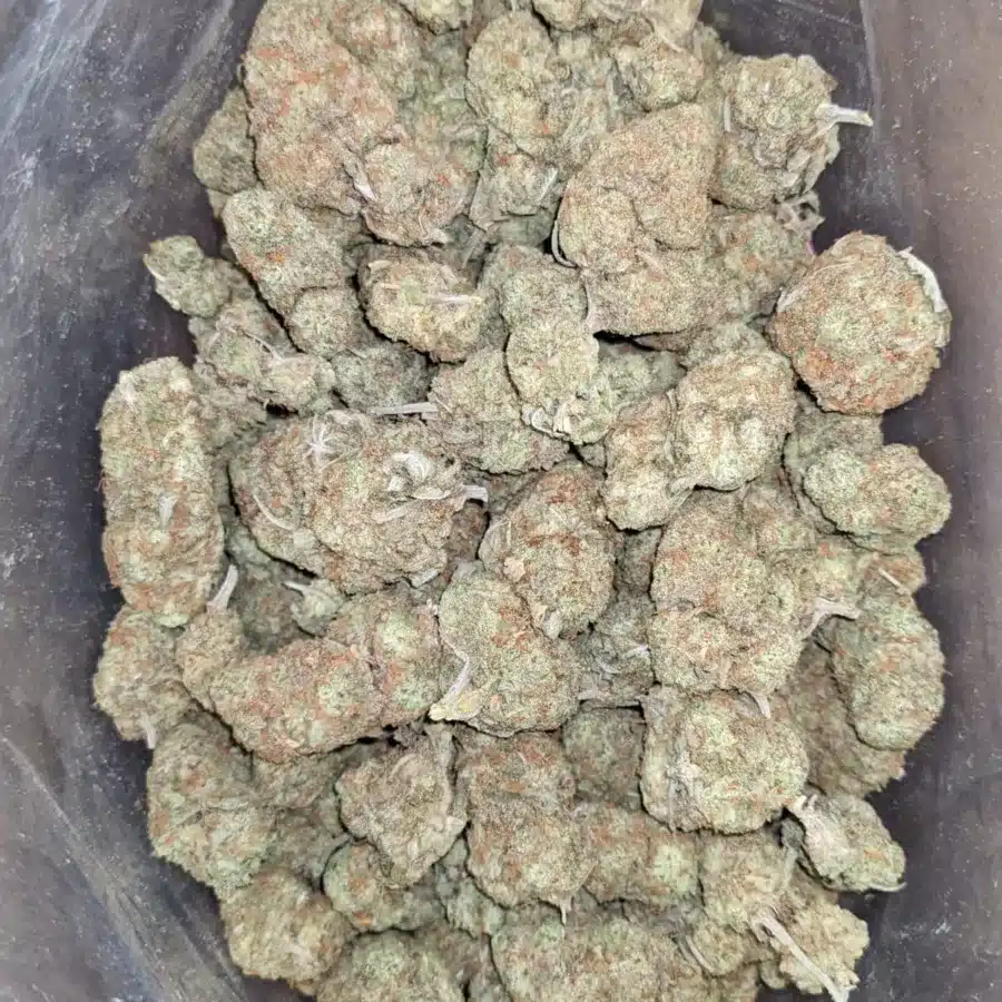 Mango sherbet 2 I Mango Sherbert