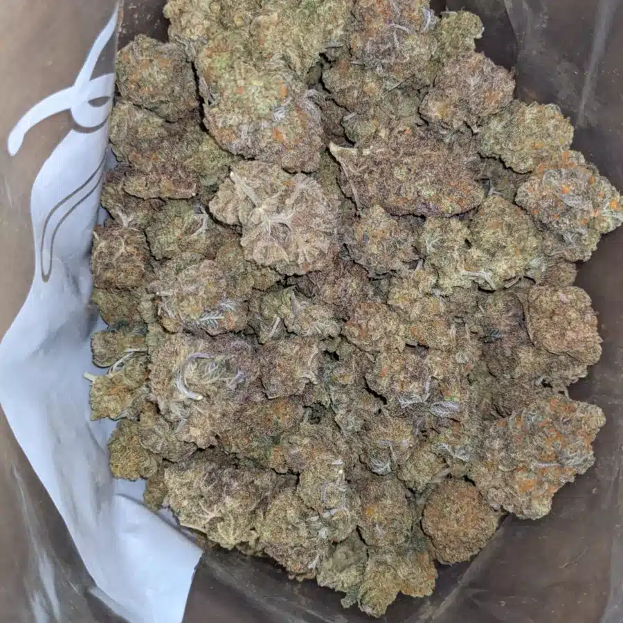 Ninja fruit 1 I $ 43 Oz- Ninja Fruit