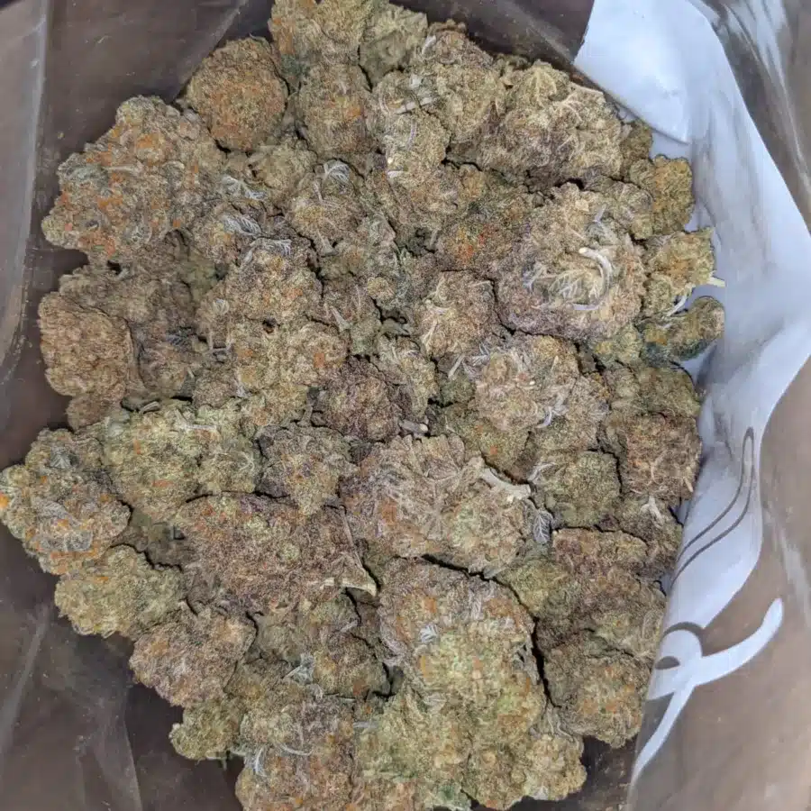 Ninja fruit 2 I $ 43 Oz- Ninja Fruit