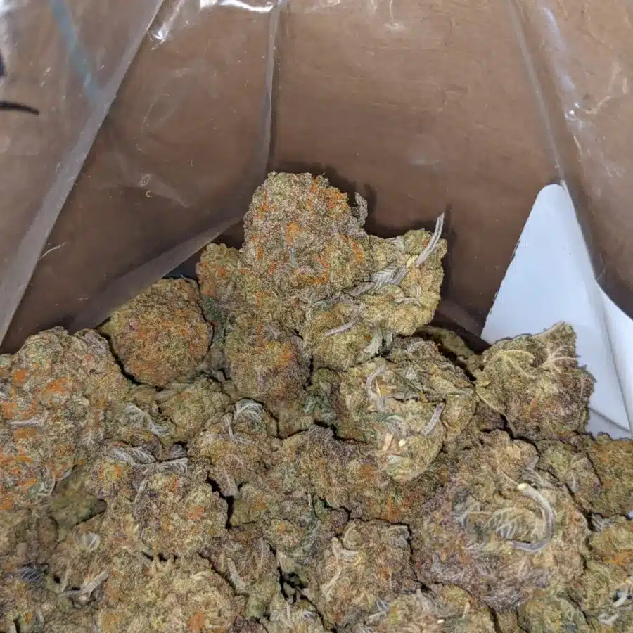 Ninja fruit 3 I $ 43 Oz- Ninja Fruit