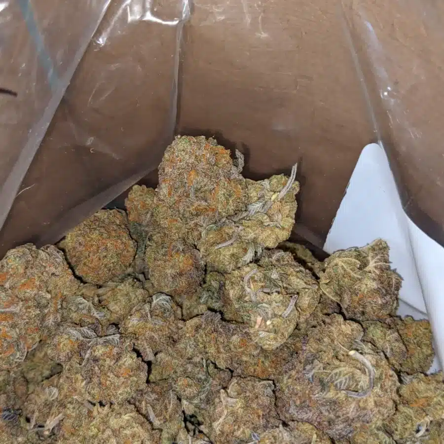 Ninja fruit 4 I $ 43 Oz- Ninja Fruit