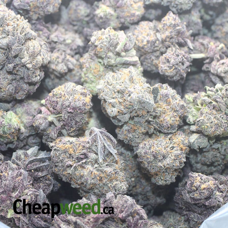 PURPLE COOKIES 1 I Purple Cookies