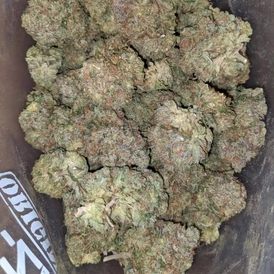 Pre Bubba Kush 1 I Pre Bubba Kush