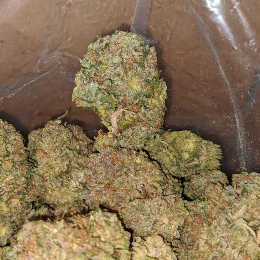 Pre Bubba Kush 2 I Pre Bubba Kush