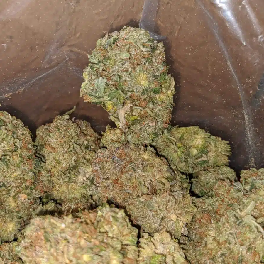 Pre Bubba Kush 3 I Pre Bubba Kush