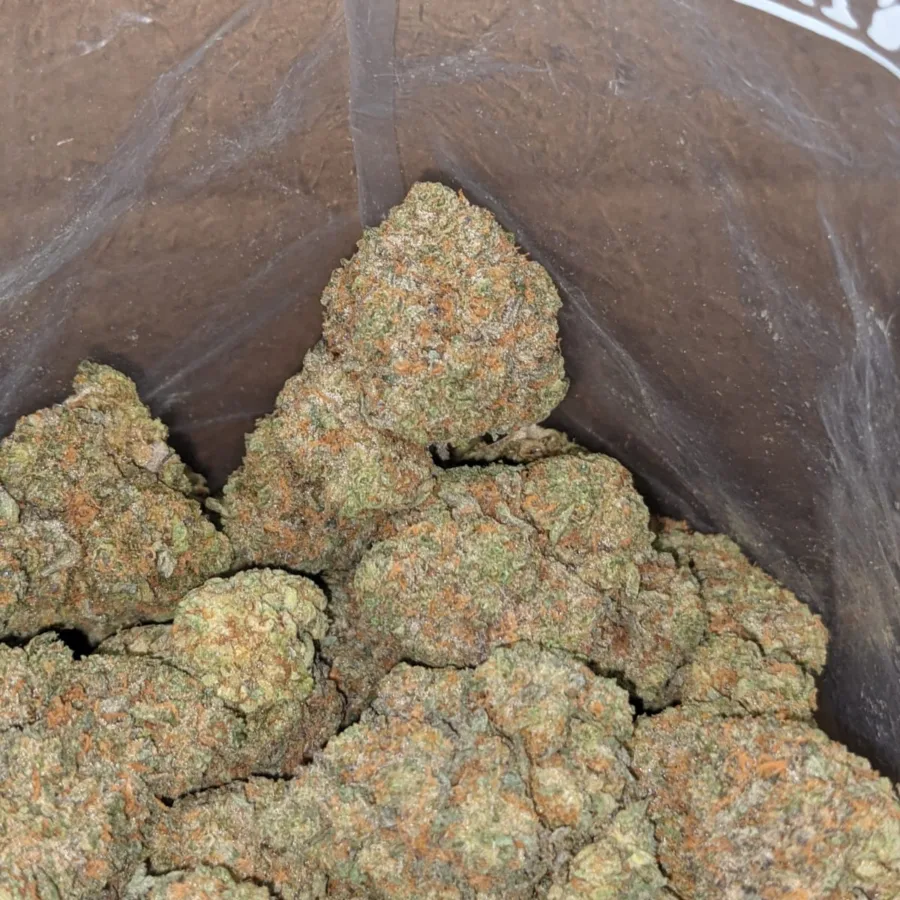 Racefuel 1 I $ 44 Oz - Racefuel
