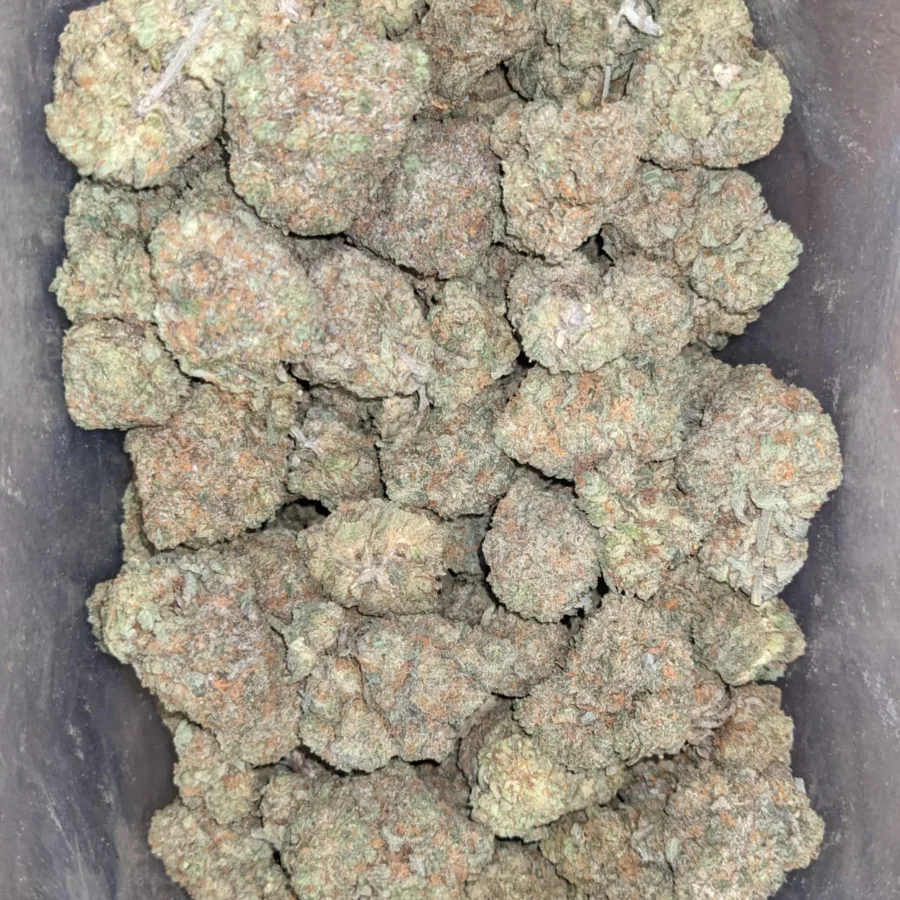 Racefuel 2 I $ 44 Oz - Racefuel