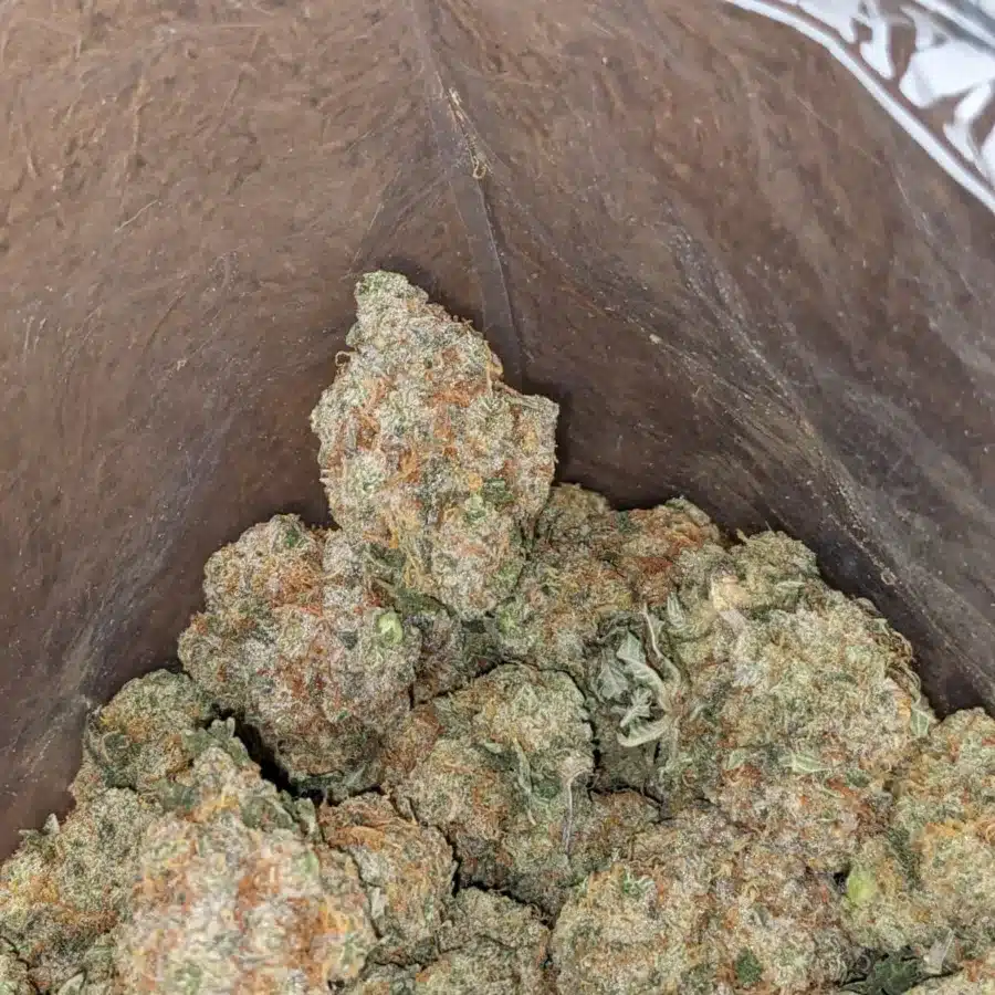 Raspberry Cough 1 I Raspberry Cough