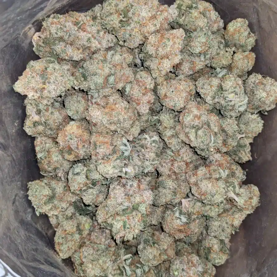 Raspberry Cough 4 I Raspberry Cough