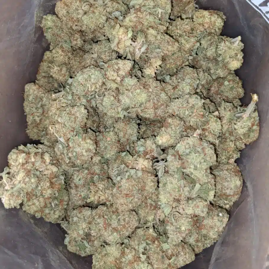 Rocket fuel 4 I $ 44 Oz - Rocket fuel