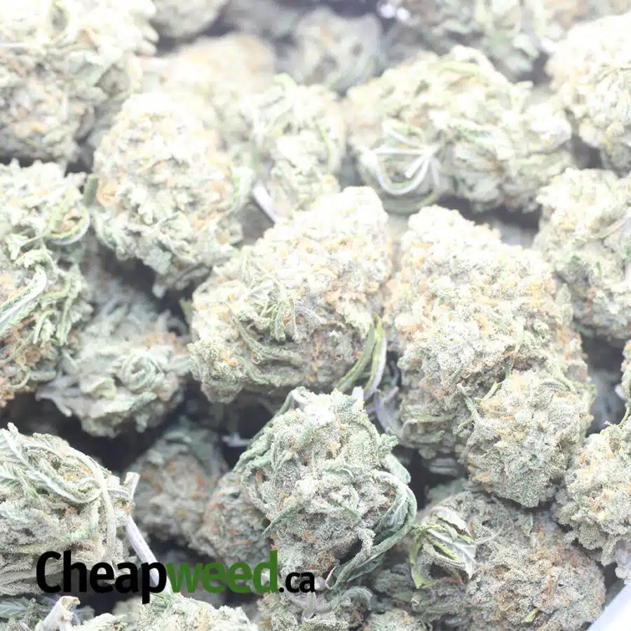 THUNDERFUCK 1 I $ 47 Oz - Thunderfuck