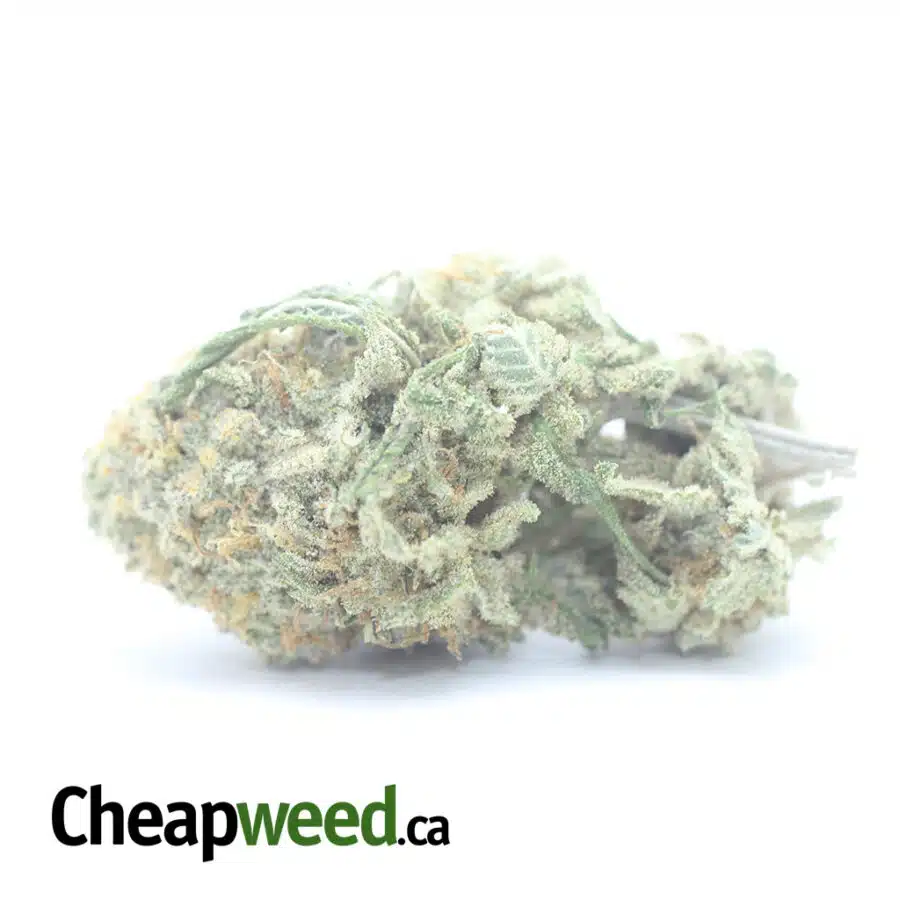 $ 47 Oz - Thunderfuck