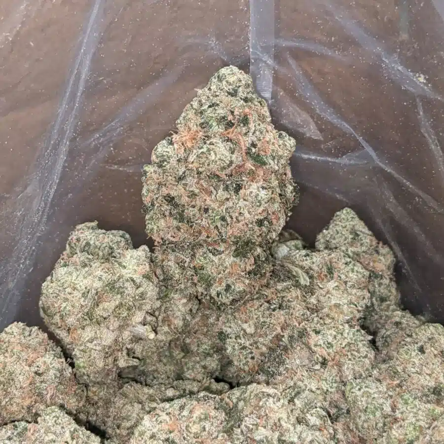 Tangerine Dream 4 I Tangerine Dream