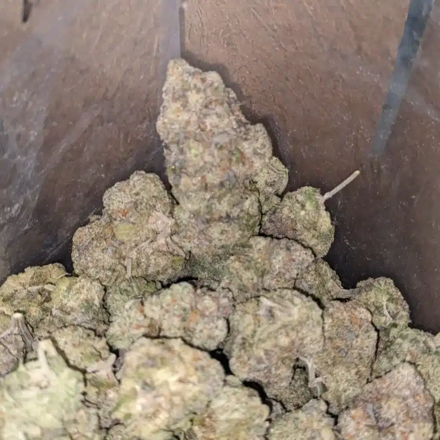 Triangle mints 3 I $ 71 Oz - Triangle Mints
