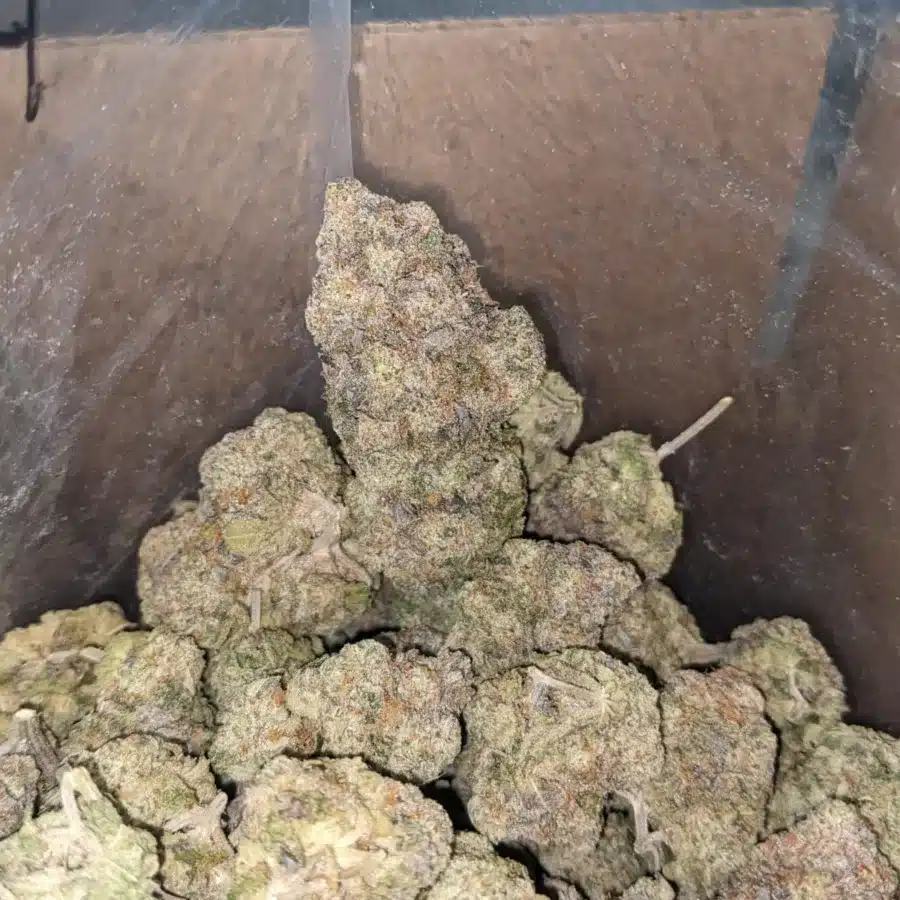 Triangle mints 4 I $ 71 Oz - Triangle Mints
