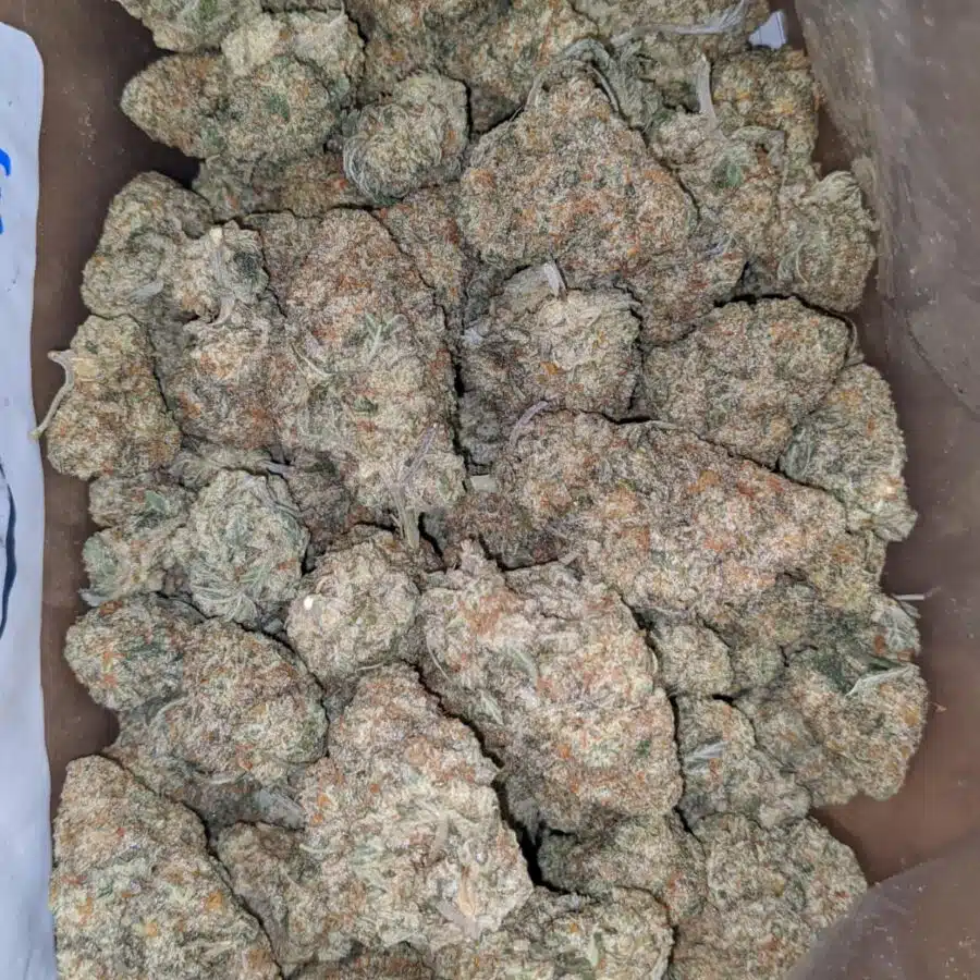 Venom og 1 I Venom OG