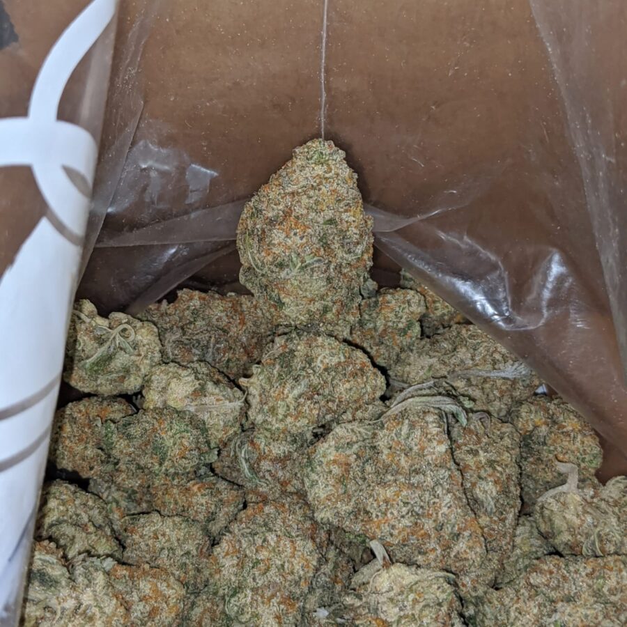 Venom OG - Image 7