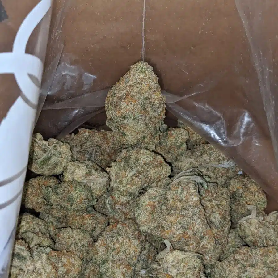 Venom og 3 I Venom OG