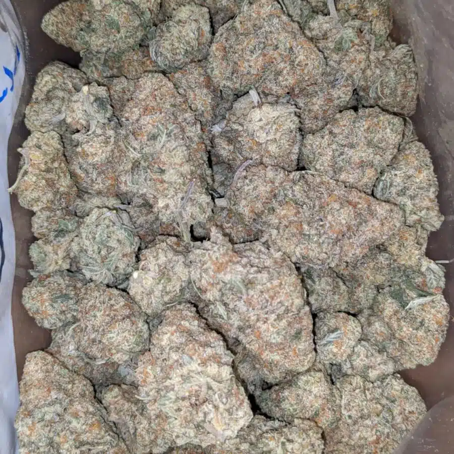 Venom og 4 I Venom OG