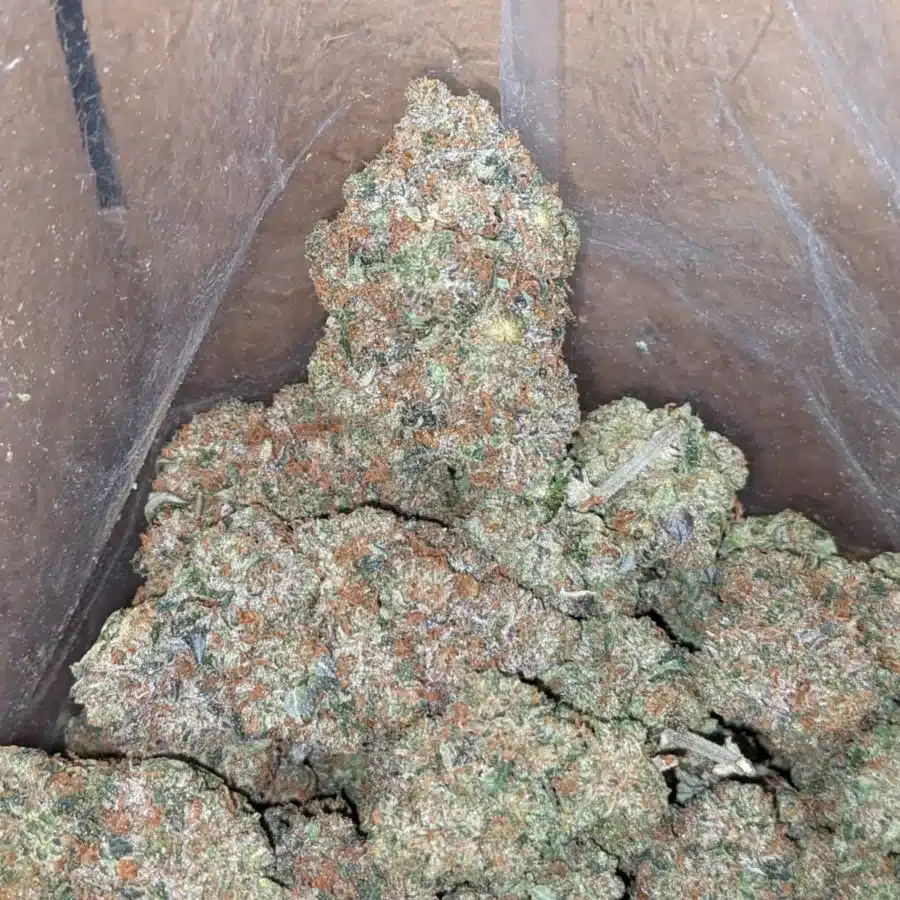tbb 1 I Tony's Bruce Banner