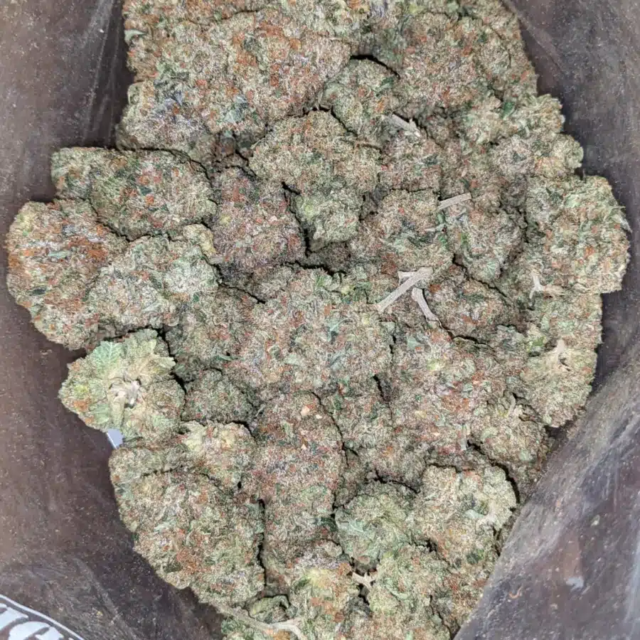 tbb 3 I Tony's Bruce Banner