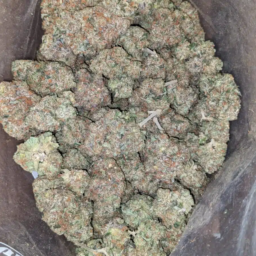 tbb 4 I Tony's Bruce Banner