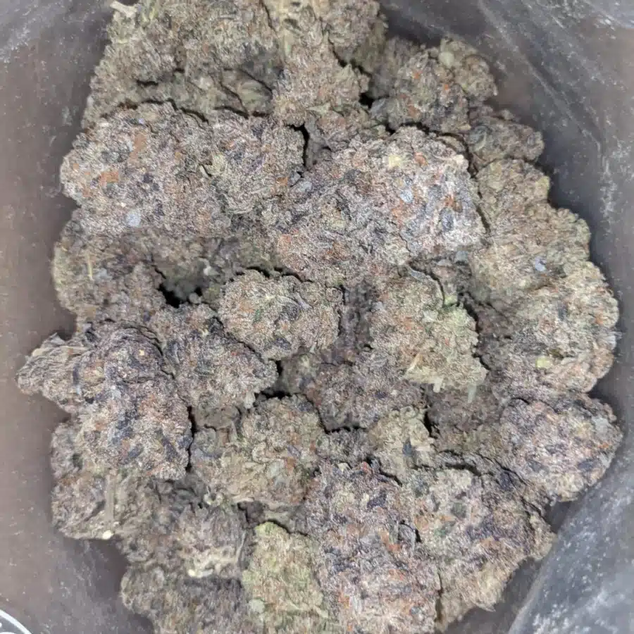 Black gas 1 I $ 82 Oz - Black Gas