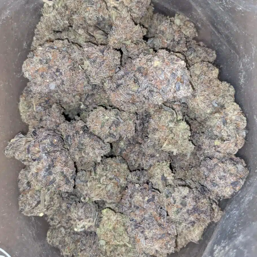 Black gas 2 I $ 82 Oz - Black Gas