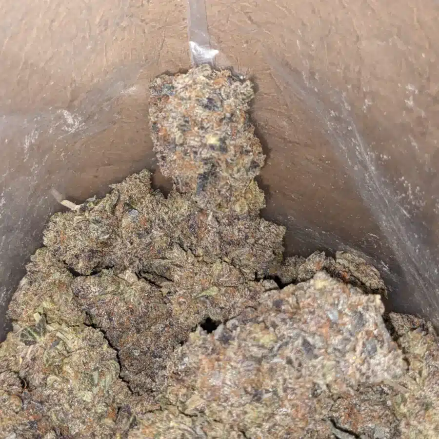 Black gas 3 I $ 82 Oz - Black Gas