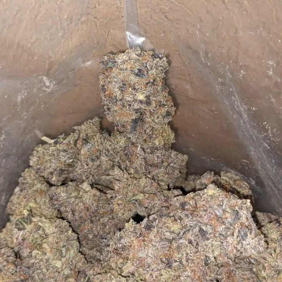 Black gas 4 I $ 82 Oz - Black Gas