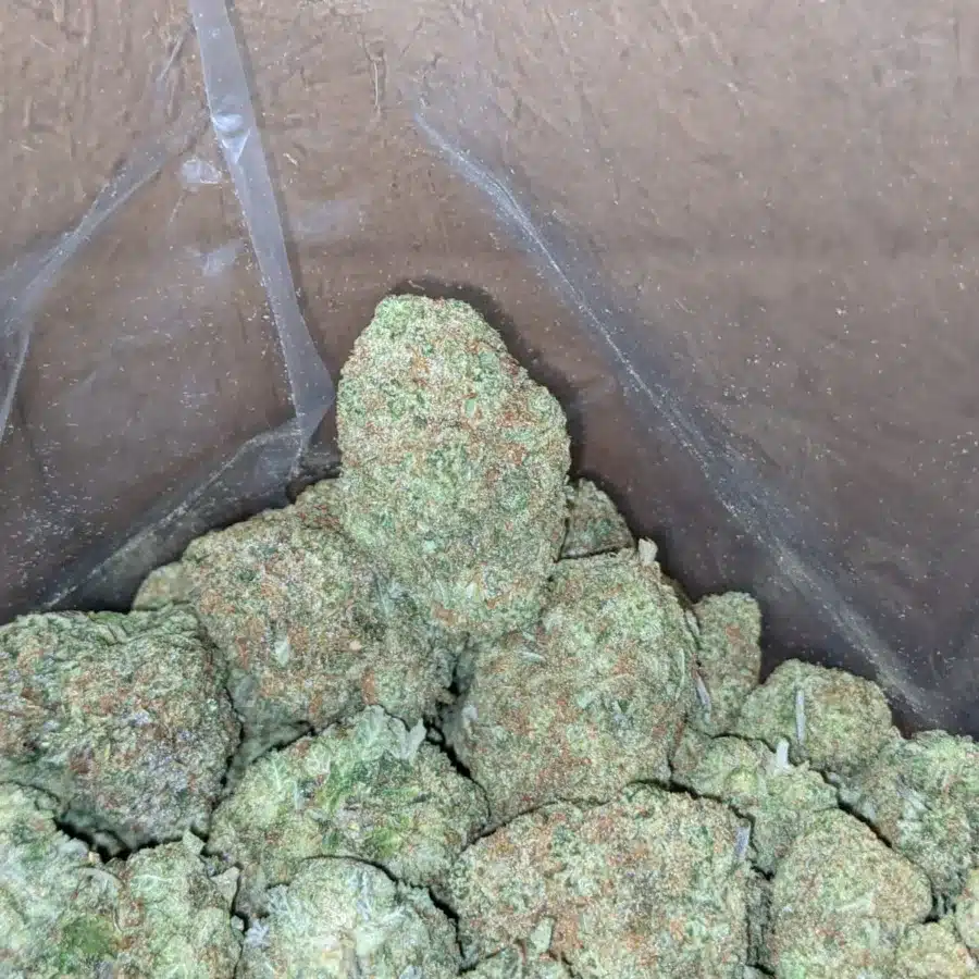 Blue Hawaiian 4 I Blue Hawaiian