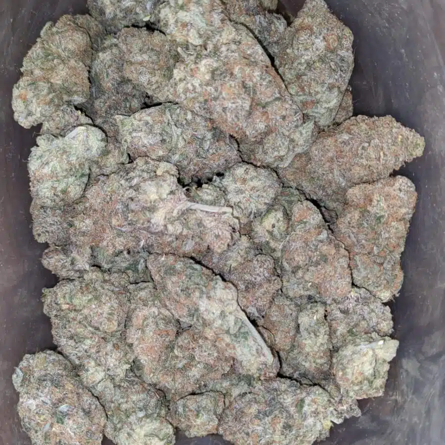 Alternative view of Chocolate Thunderfuck