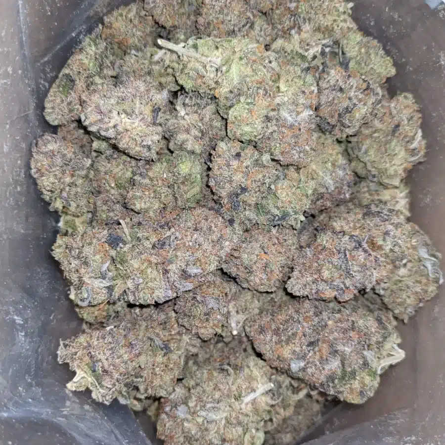 El Jefe 2 I $ 107 Oz - El Jefe