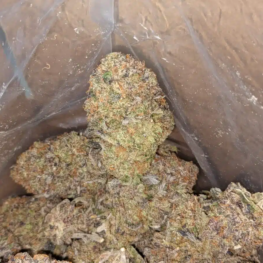El Jefe 3 I $ 107 Oz - El Jefe