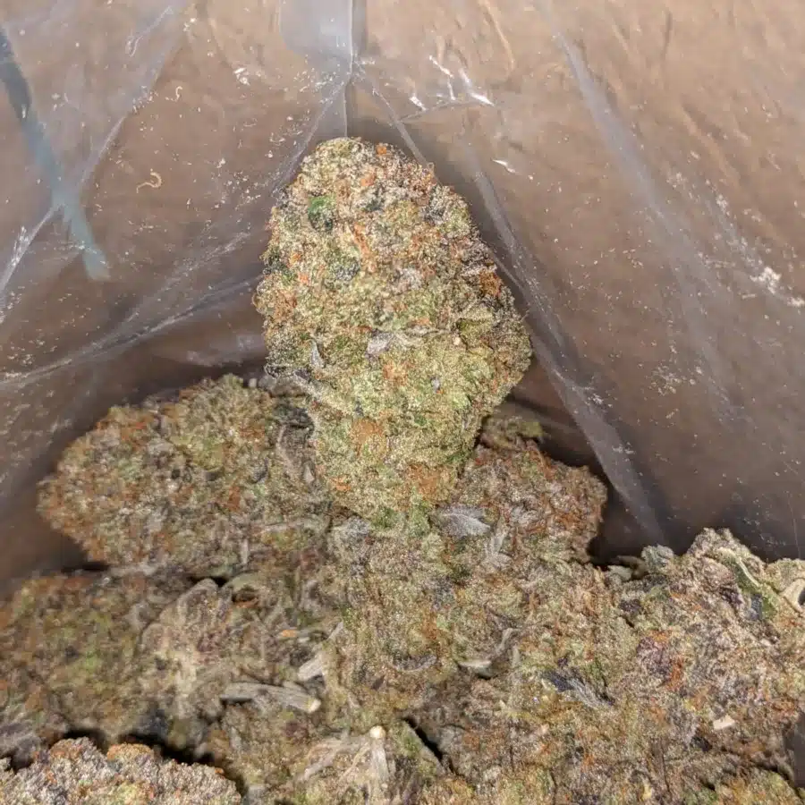 El Jefe 4 I $ 107 Oz - El Jefe