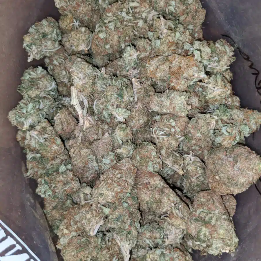 Funky Lemon
