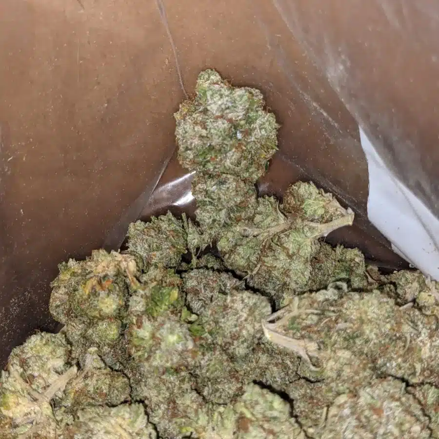 Fire Bubba 1 I Fire Bubba