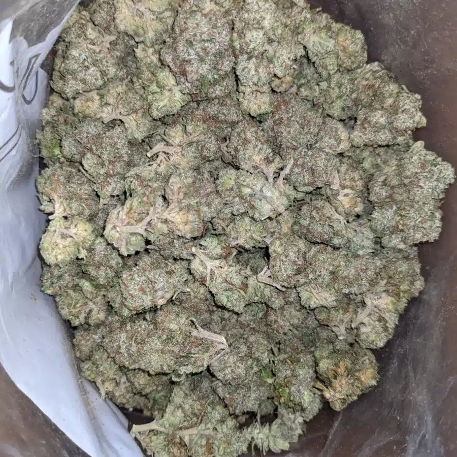 Fire Bubba 3 1 I Fire Bubba
